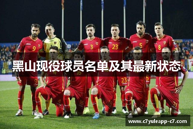 黑山现役球员名单及其最新状态