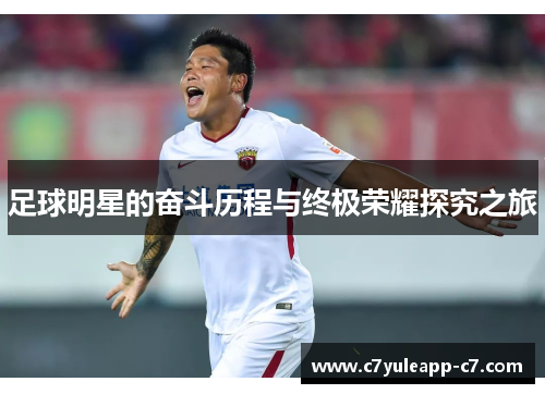 足球明星的奋斗历程与终极荣耀探究之旅