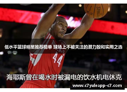 低水平篮球明星推荐榜单 球场上不被关注的潜力股和实用之选